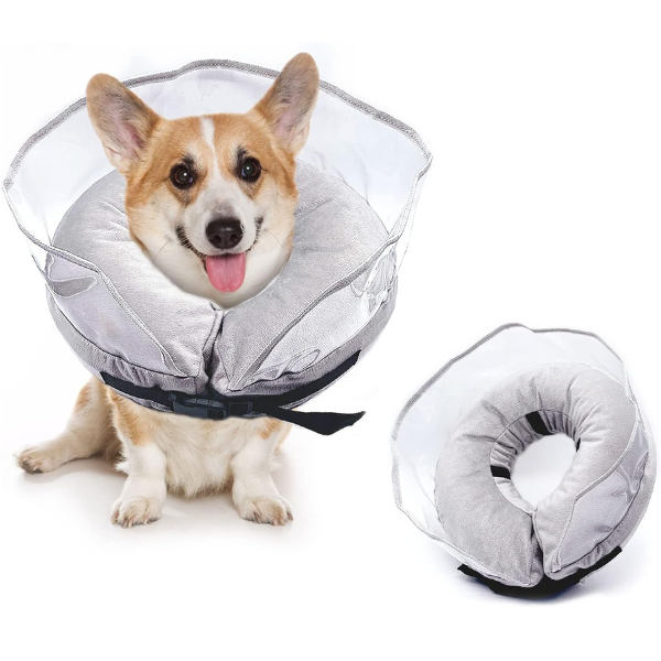 Alternative to cone 2024 for dog after surgery